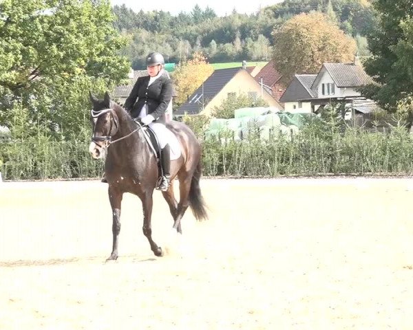 Reitturnier Deitingen 2018