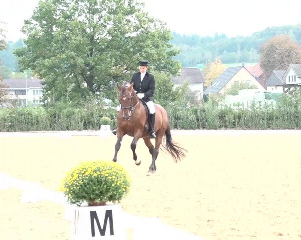 Reitturnier Deitingen 2018