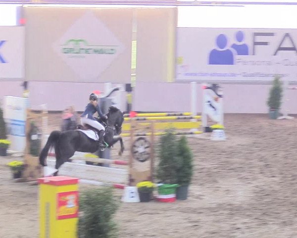 Reitturnier Gronau-Epe 2018