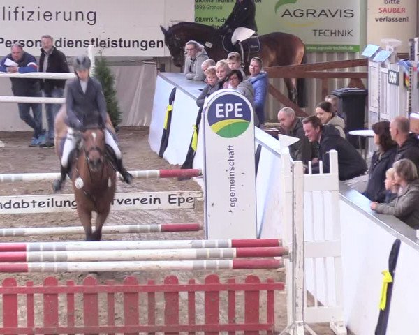 Reitturnier Gronau-Epe 2018