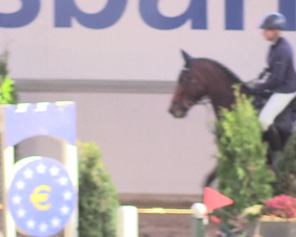 Reitturnier Gronau-Epe 2018