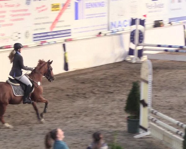 Reitturnier Gronau-Epe 2018
