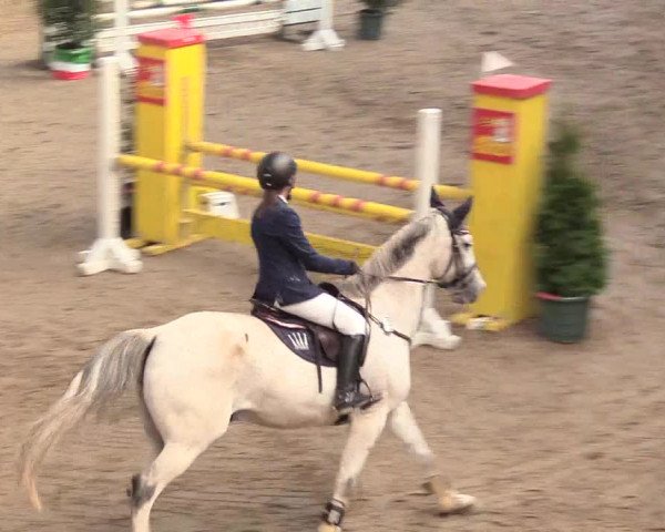 Reitturnier Gronau-Epe 2018