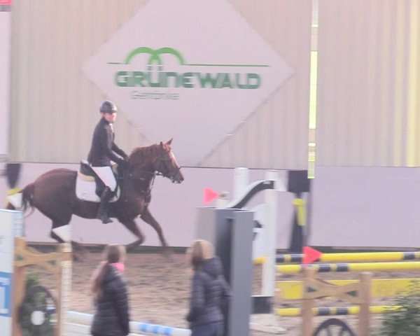 Reitturnier Gronau-Epe 2018