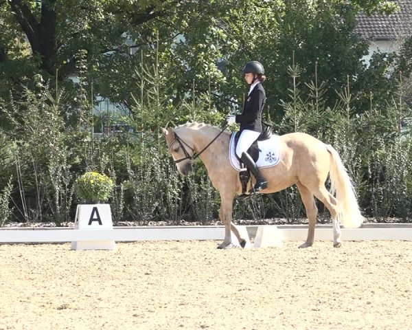 Reitturnier Deitingen 2018