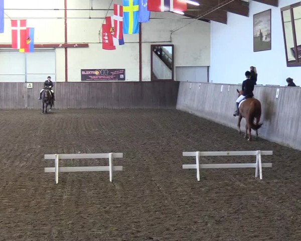 Reitturnier St. Peter Ording 2018