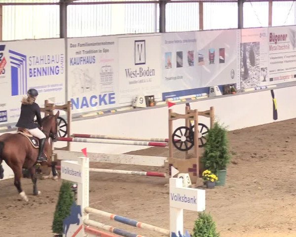 Reitturnier Gronau-Epe 2018