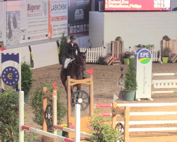 Reitturnier Gronau-Epe 2018