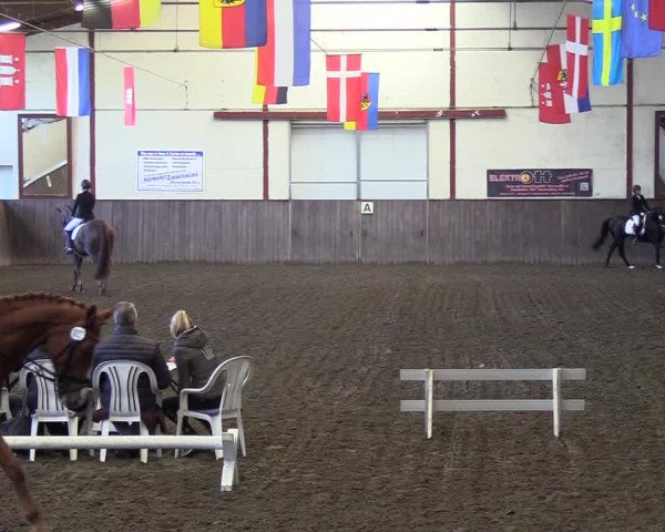 Reitturnier St. Peter Ording 2018