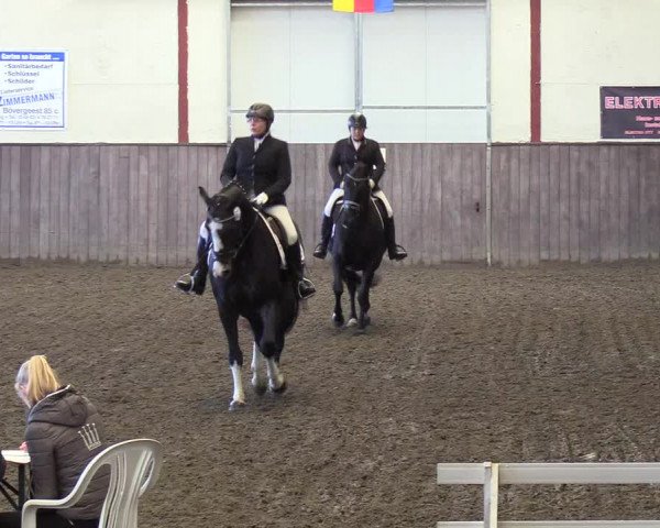 Reitturnier St. Peter Ording 2018