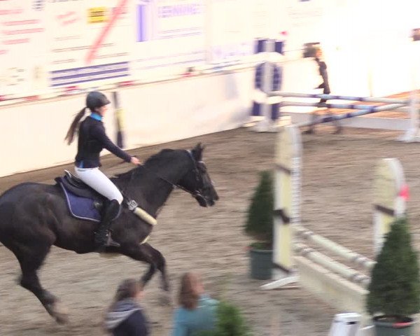 Reitturnier Gronau-Epe 2018