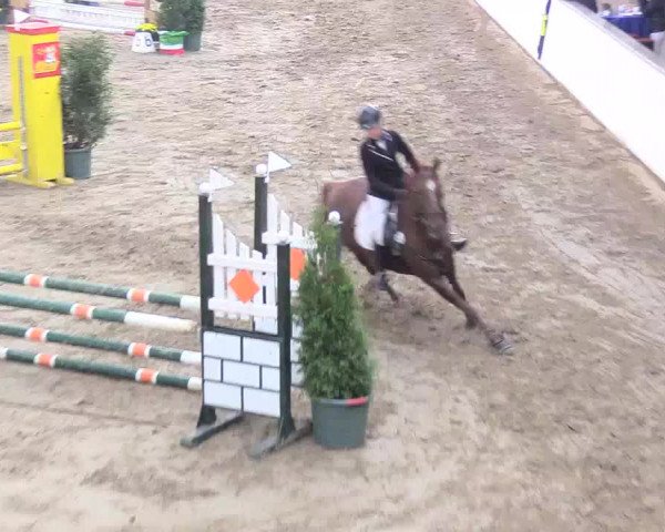 Reitturnier Gronau-Epe 2018