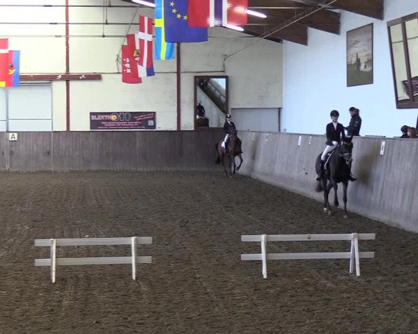 Reitturnier St. Peter Ording 2018