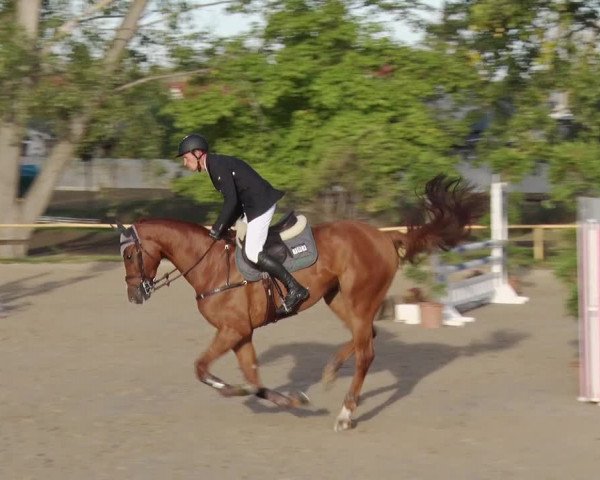 Reitturnier Greppin 2018