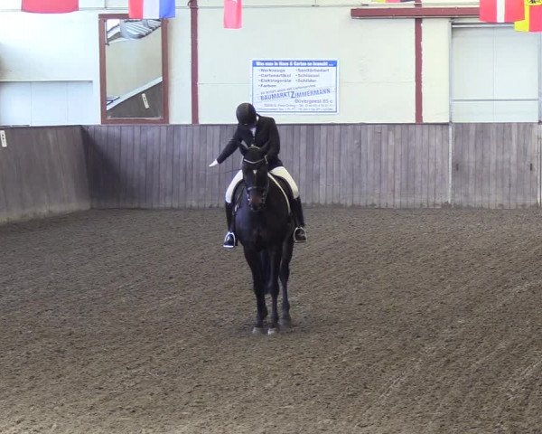Reitturnier St. Peter Ording 2018
