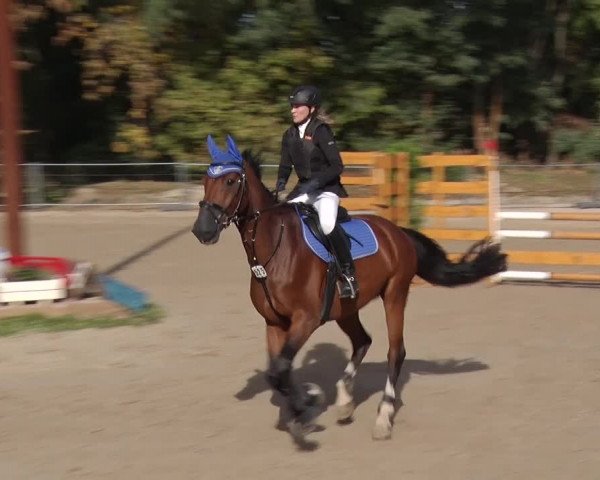 Reitturnier Greppin 2018