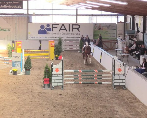 Reitturnier Gronau-Epe 2018