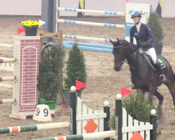 Reitturnier Gronau-Epe 2018