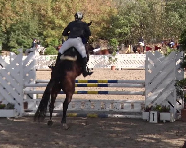 Reitturnier Greppin 2018