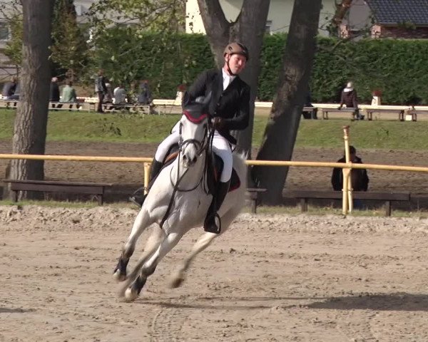 Reitturnier Greppin 2018