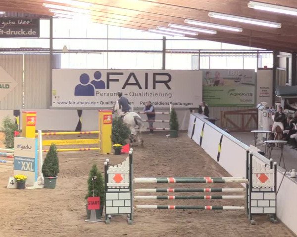 Reitturnier Gronau-Epe 2018