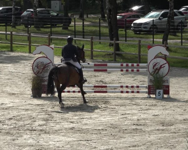 Reitturnier Westergellersen 2021
