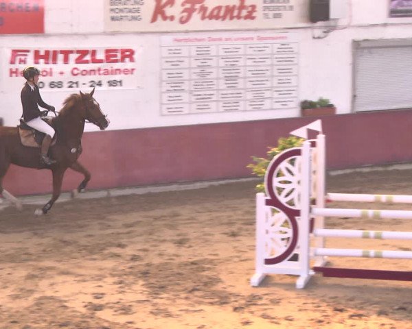 Reitturnier Neunkirchen-Furpach 2018