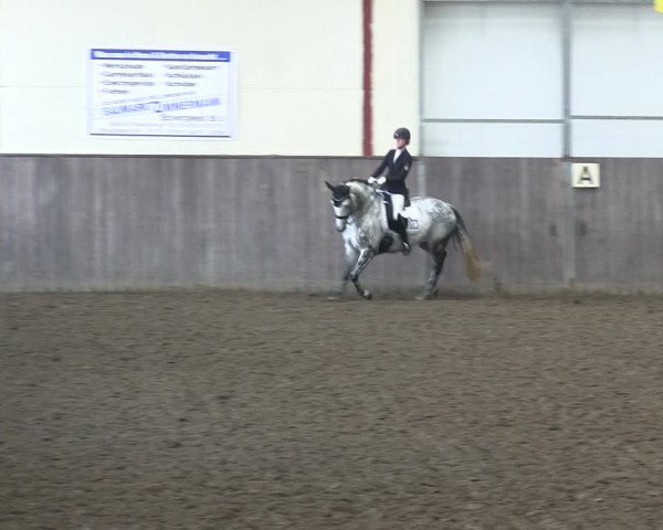 Reitturnier St. Peter Ording 2018
