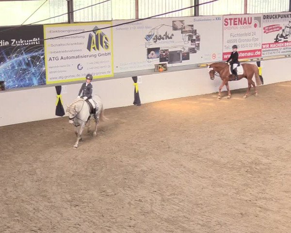 Reitturnier Gronau-Epe 2018