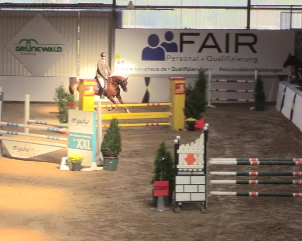 Reitturnier Gronau-Epe 2018