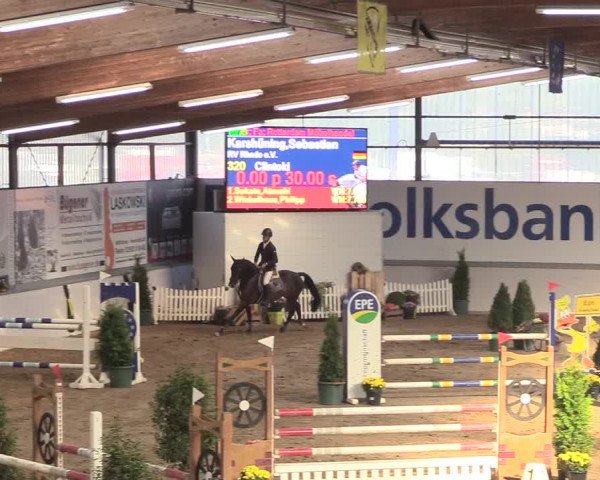 Reitturnier Gronau-Epe 2018