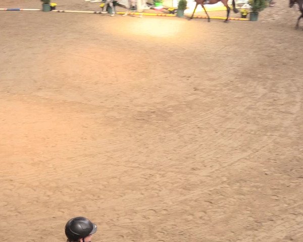 Reitturnier Gronau-Epe 2018