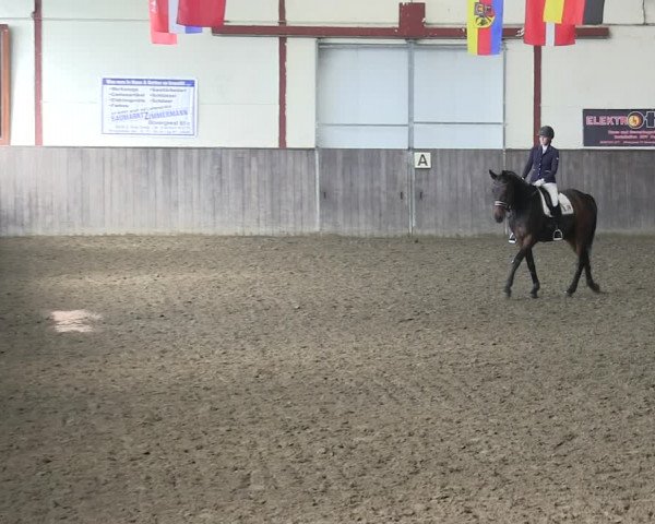 Reitturnier St. Peter Ording 2018