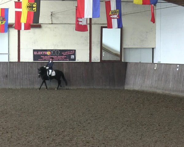 Reitturnier St. Peter Ording 2018
