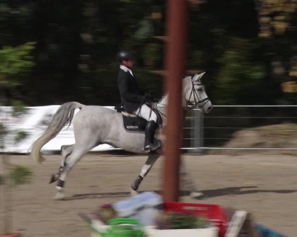 Reitturnier Greppin 2018