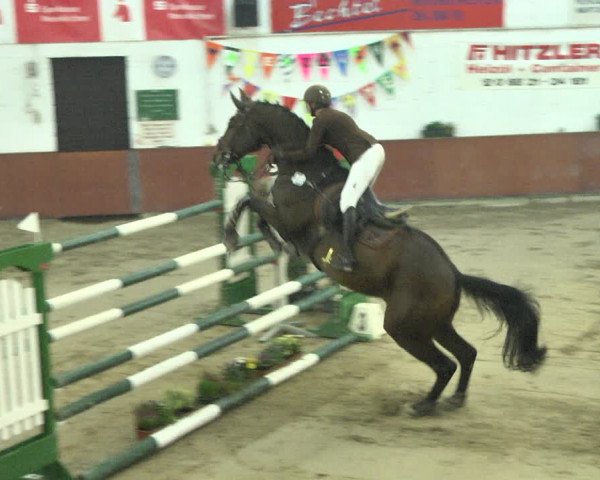 Reitturnier Neunkirchen-Furpach 2018
