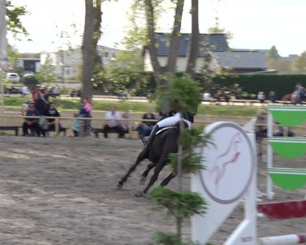 Reitturnier Greppin 2018