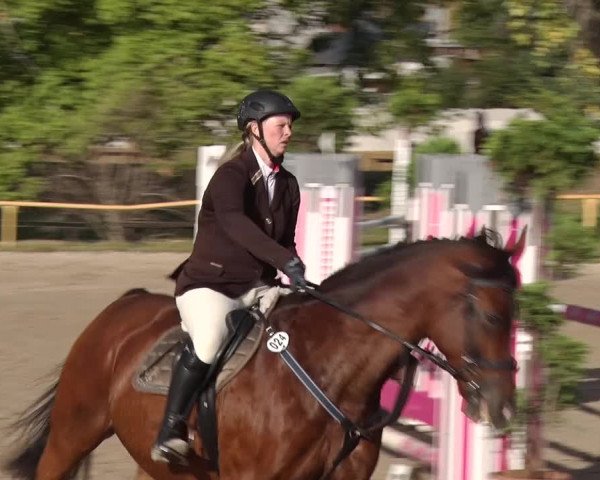 Reitturnier Greppin 2018