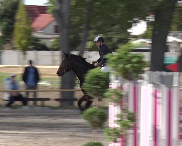Reitturnier Greppin 2018