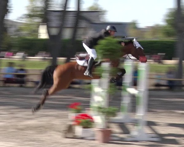 Reitturnier Greppin 2018