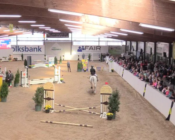 Reitturnier Gronau-Epe 2018