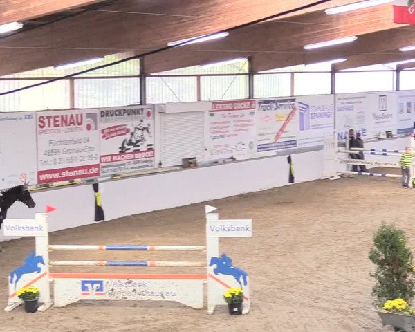 Reitturnier Gronau-Epe 2018