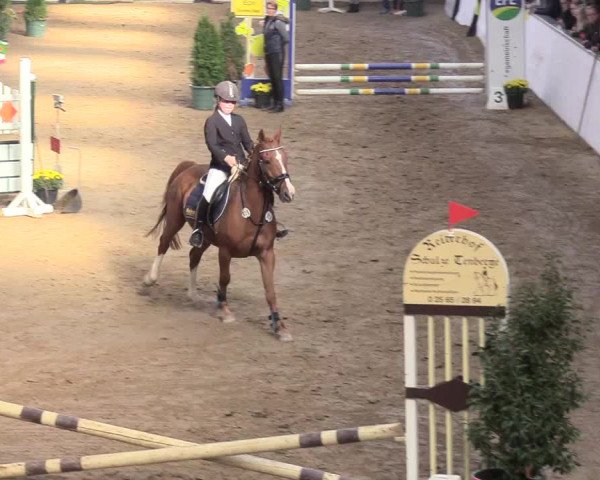 Reitturnier Gronau-Epe 2018