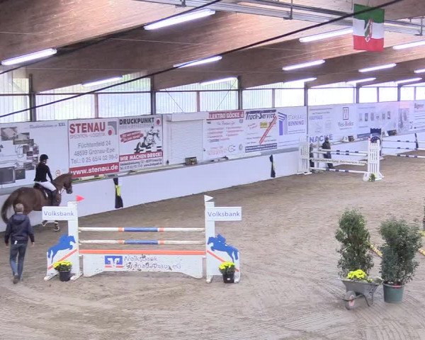 Reitturnier Gronau-Epe 2018