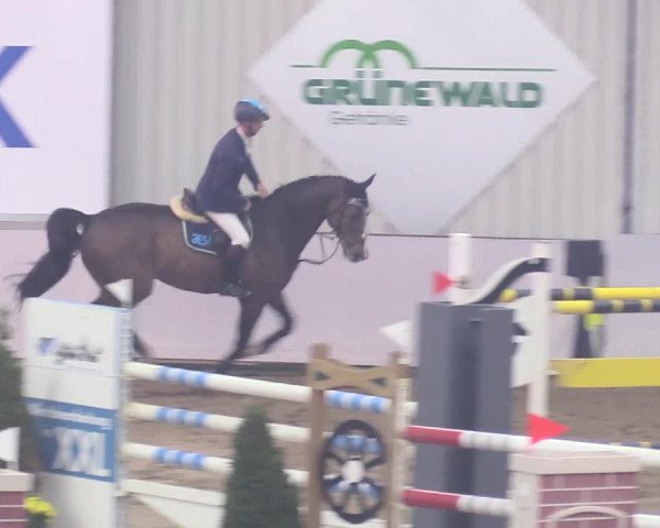 Reitturnier Gronau-Epe 2018