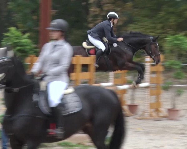Reitturnier Greppin 2018
