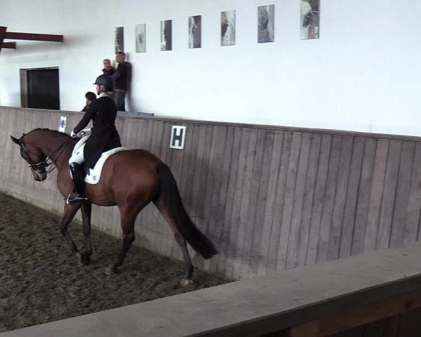 Reitturnier St. Peter Ording 2018