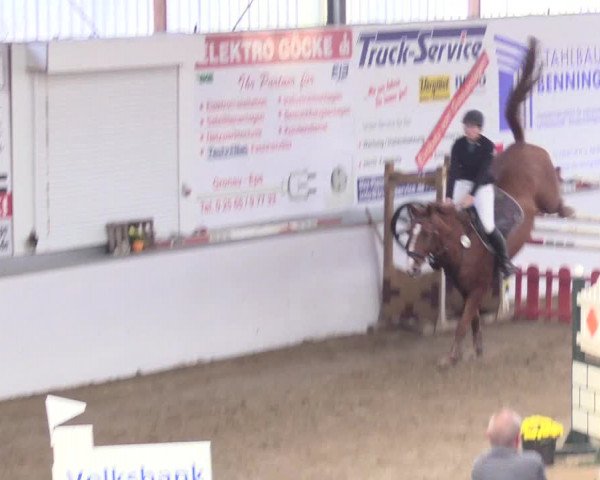 Reitturnier Gronau-Epe 2018