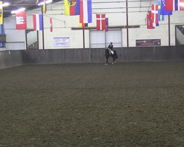 Reitturnier St. Peter Ording 2018