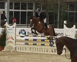jumper Canberra 59 (Hanoverian, 2011, from Canstakko)